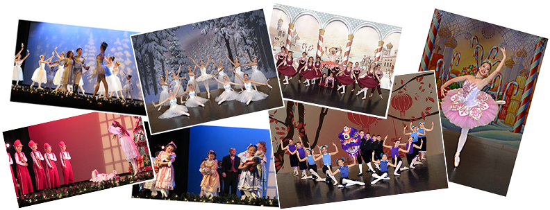 Srvda Nutcracker - " - San Ramon Valley Dance Academy (800x306), Png Download