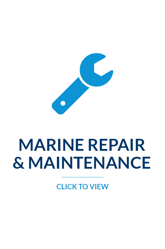 Services - Autodesk Maintenance Plan (551x834), Png Download