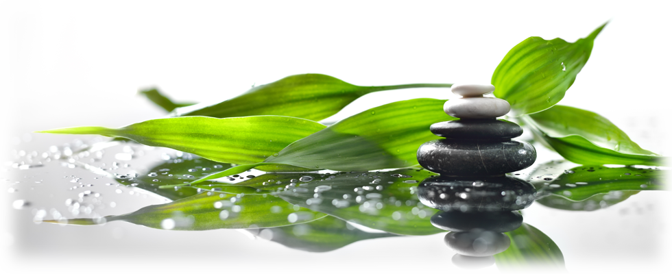 Appointments - Today I Decided To Forgive You (980x400), Png Download