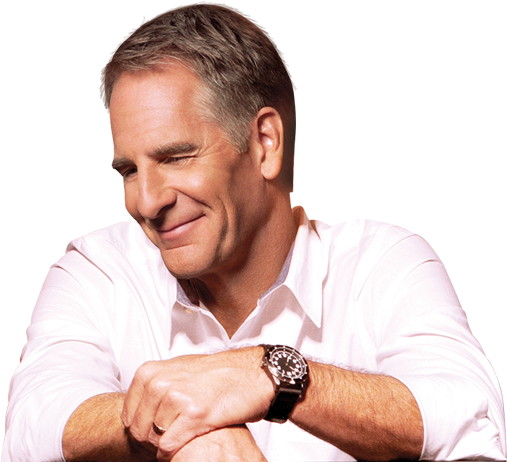 New Orleans Cast - Ncis New Orleans: The First Season (dvd) (960x500), Png Download