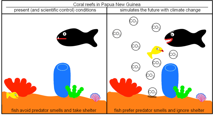 Fishies - Ocean Acidification Clipart (900x487), Png Download