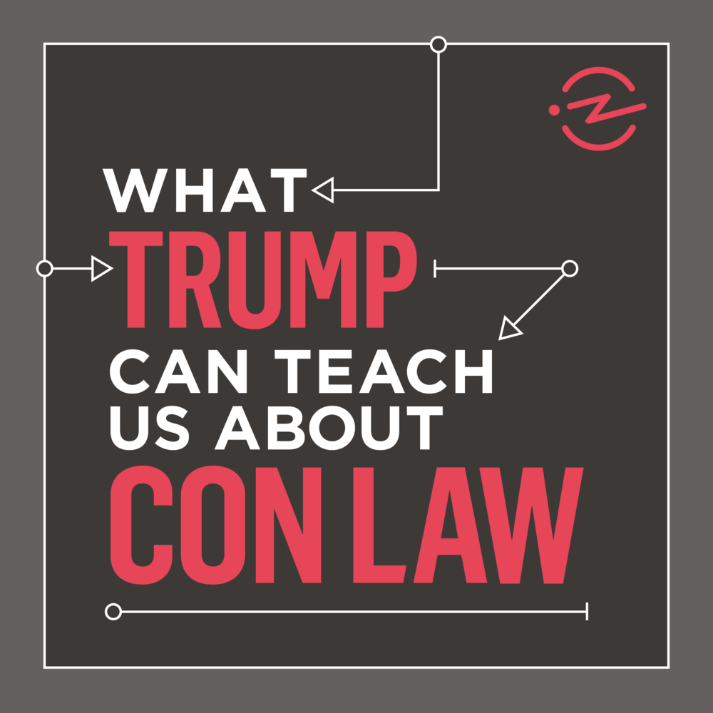 What Trump Can Teach Us About Con Law - Trump Can Teach Us About Con Law (1000x1000), Png Download