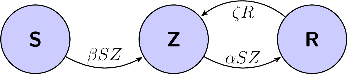 Flowchart Of The Szr Model - Circle (1184x271), Png Download