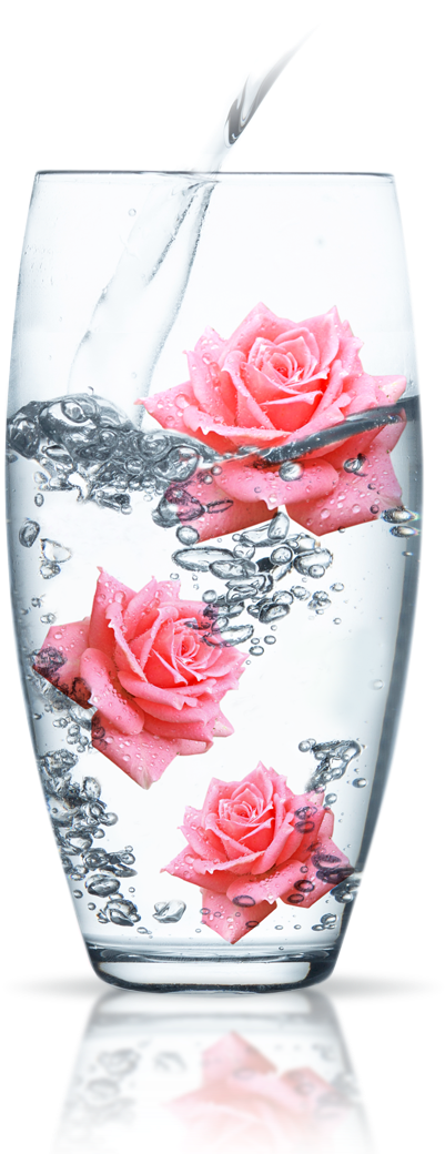Rose Drops Spring Rose Water With Drinkable Bulgarian - Rose Water Png (474x1090), Png Download