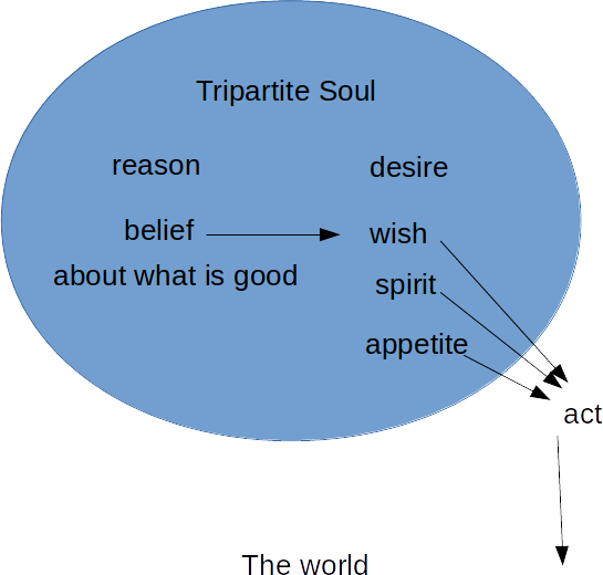 In The Republic, Socrates Argues The Soul Has Three - Plato's Tripartite Theory Of Soul (545x520), Png Download