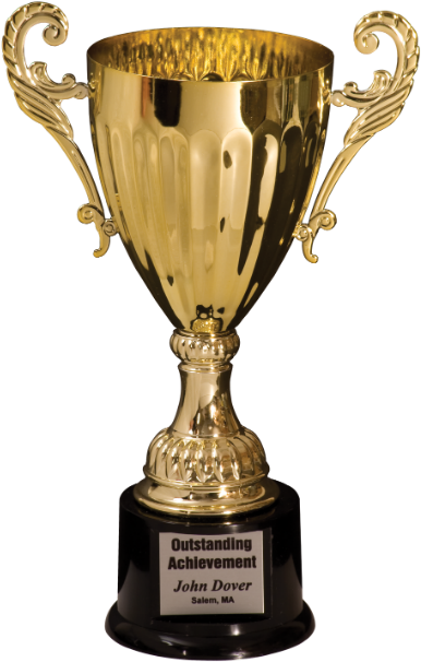 Check Out The Corporate Awards Catalogue Or The Sports - Trophy Amazon (433x675), Png Download