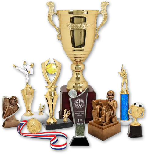 Promotional Needs - Award (485x503), Png Download