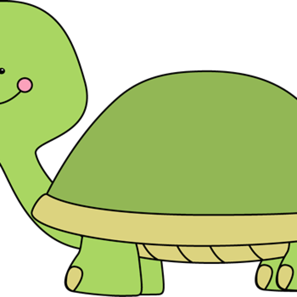 Cute Turtle Clip Art Turtle Clip Art Turtle Images - Turtle Clipart Math (1024x1024), Png Download