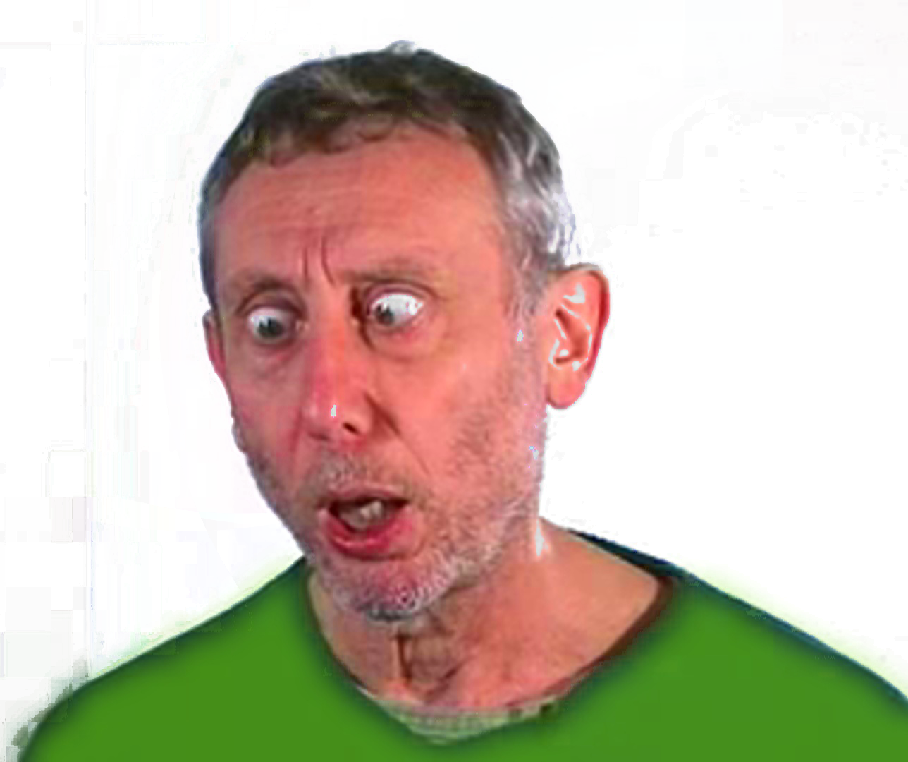 Sirchameleon - Close-up (1288x1080), Png Download