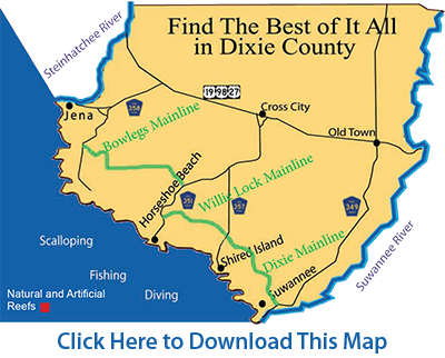 Scallop Season Only Lasts A Couple Of Months But During - Dixie County Florida (400x322), Png Download