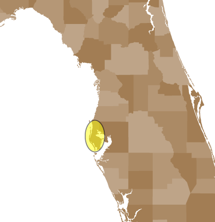 Art Print: Malachy120's Florida County Map, 30x30in. (421x435), Png Download