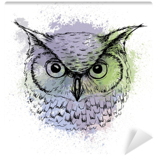 Vector Sketch Of Owl Head On A Background Of Colored - Owl Head Sketch (400x400), Png Download