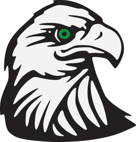 287ra - Eagle's Head - Bald Eagle Symbol Shower Curtain (575x600), Png Download