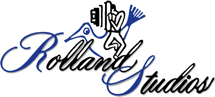 Cd Logo Clear Background - Employment (750x600), Png Download