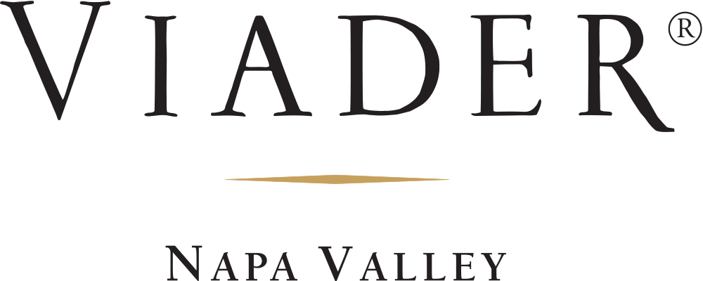 Viader Logo Full Large - Time Warner Old Logo (1000x400), Png Download