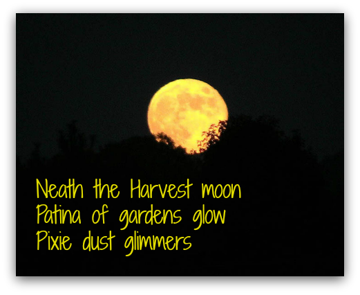 Harvest Moon - Tales Of The Night: Steps Into Darkness (521x426), Png Download
