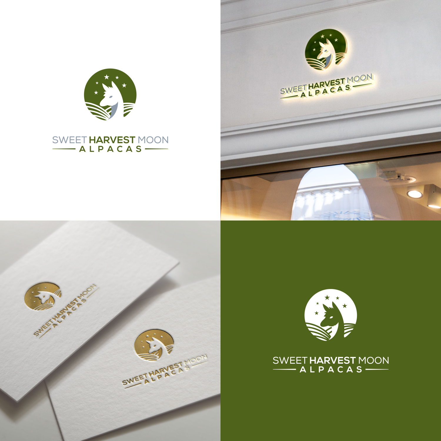 Logo Design By Agng For Sweet Harvest Moon Alpacas - Animal (1500x1500), Png Download