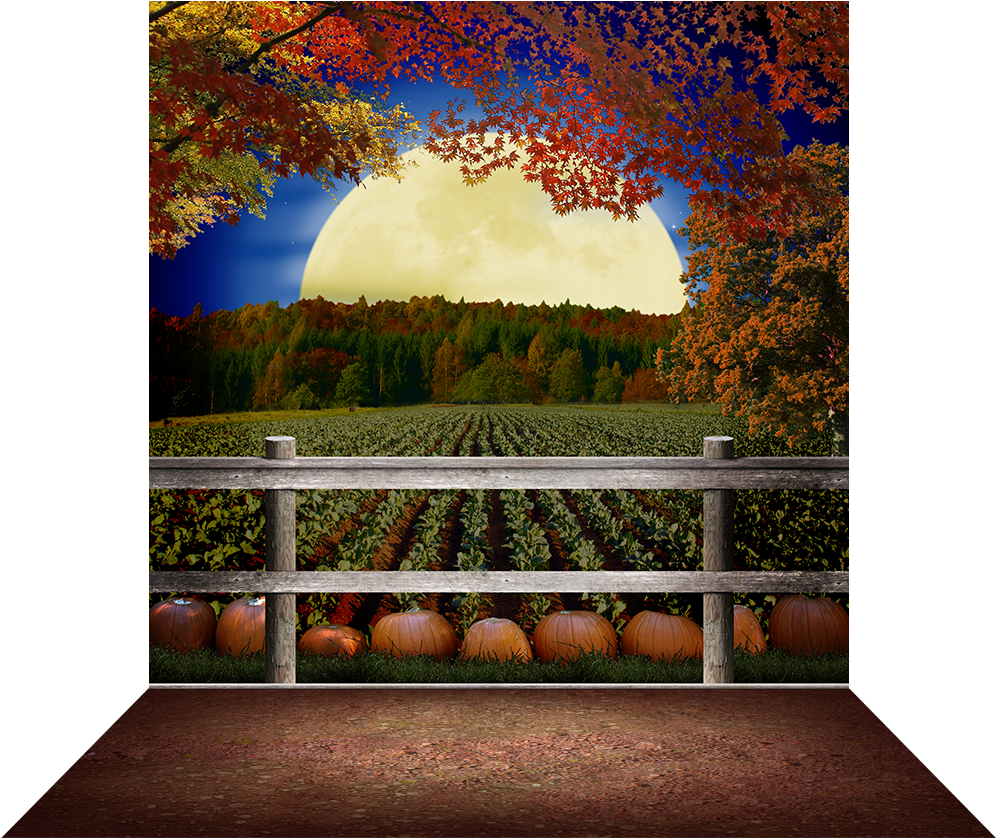 Harvest Moon With Pumpkins - Harvest Moon (1000x1000), Png Download