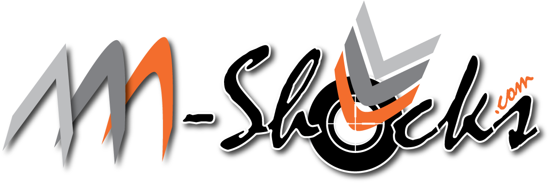 Die Clans Des Widerstands Treffen Mit Aaashocks Aiming - Aaa Shocks Logo Png (1138x379), Png Download