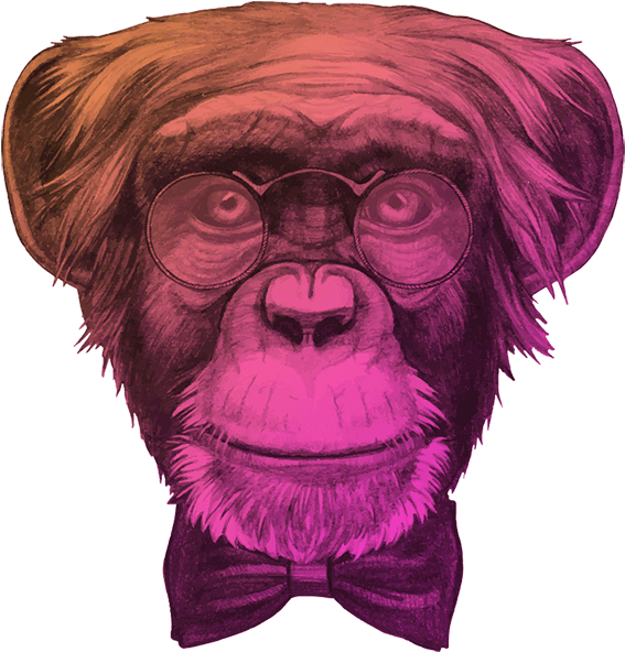 About - Monkey Wear Sunglasses Smoke Png (600x633), Png Download