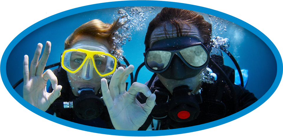 00 Scuba Diving Trips - Scuba Diving In Dominican Republic (960x471), Png Download