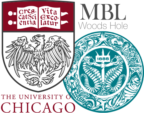 Microbial 'omics - Marine Biological Laboratory Logo (500x392), Png Download