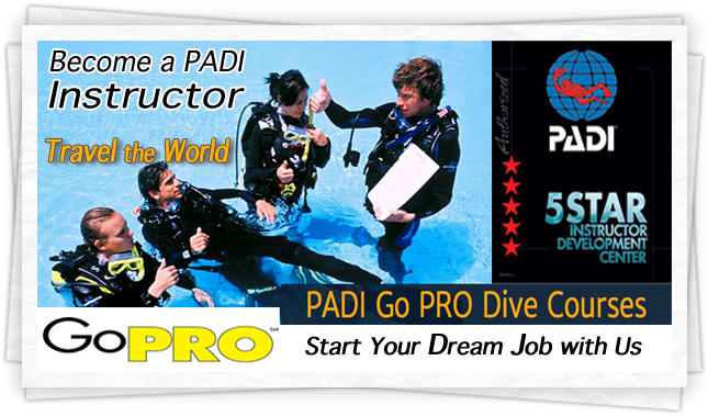 Scuba Center Temecula - Padi (645x380), Png Download