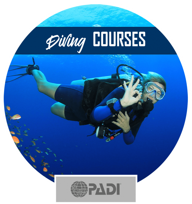 Scuba Diving In Bali - Actividades De Cabo Adventures (768x721), Png Download