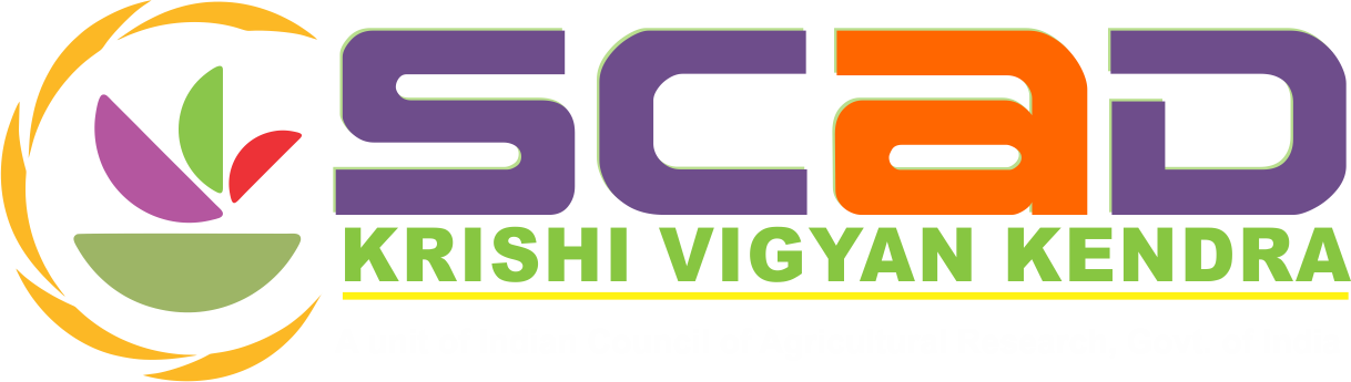 For Help - Scad World School Palladam (1218x345), Png Download