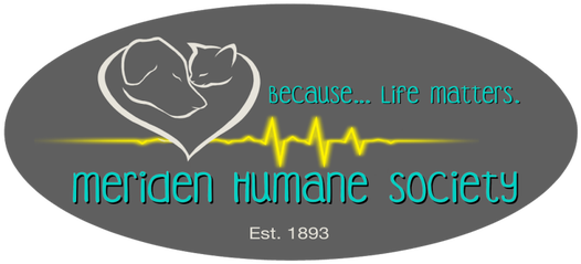 Local Businesses - Graphic Design (600x285), Png Download