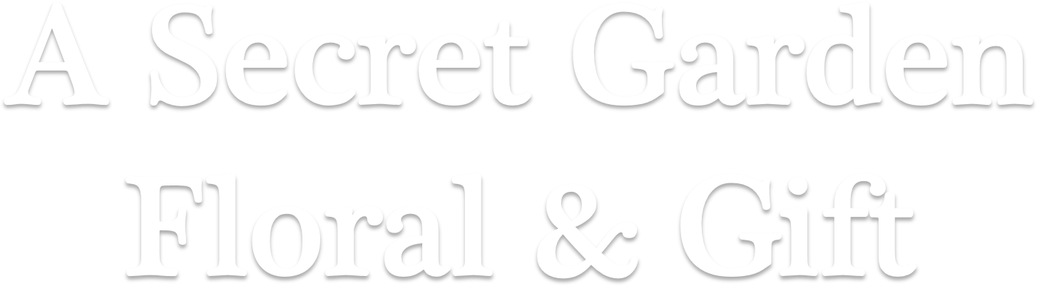 Emotional Thought (1704x679), Png Download