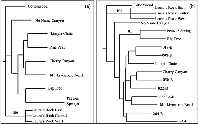 Unrooted Neighbor-joining Phenograms Constructed From - Number (903x410), Png Download