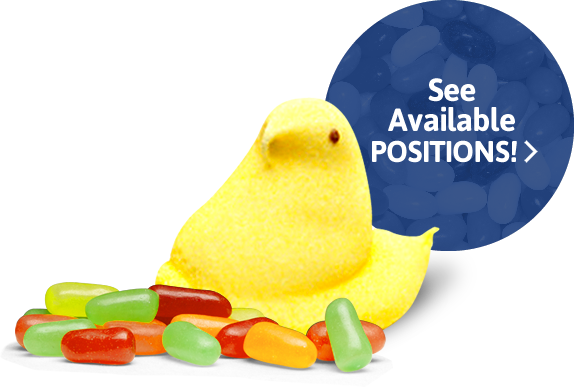 Job Openings In Bethlehem Pa - Peeps Hd Transparent (574x387), Png Download
