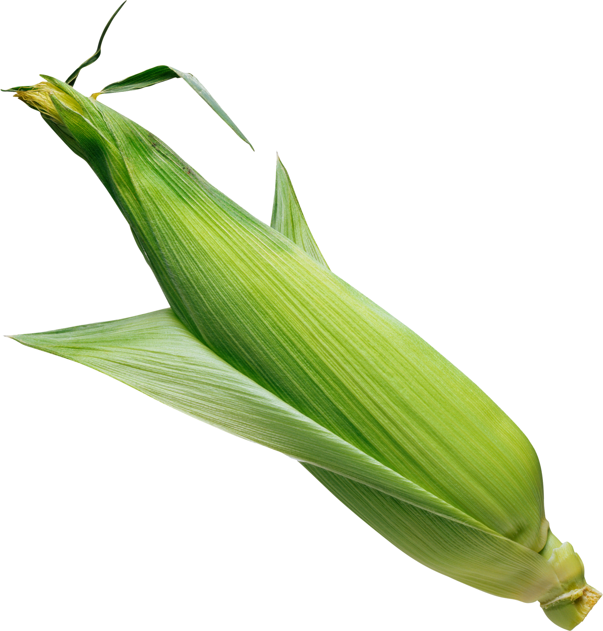Corn Png Image - Corn Leaf Png (2000x2094), Png Download