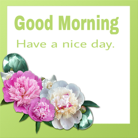 Good Morning Flowers Unique Image - Thank You Floral (480x480), Png Download