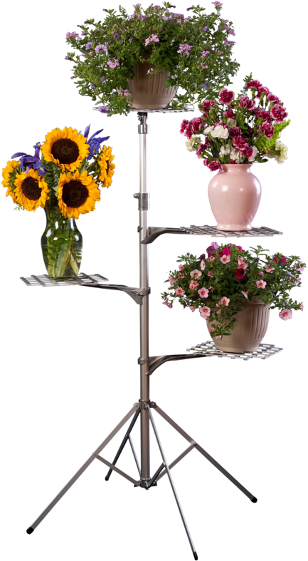 Funeral Flower Stand - Flower Stand Transparent (800x800), Png Download