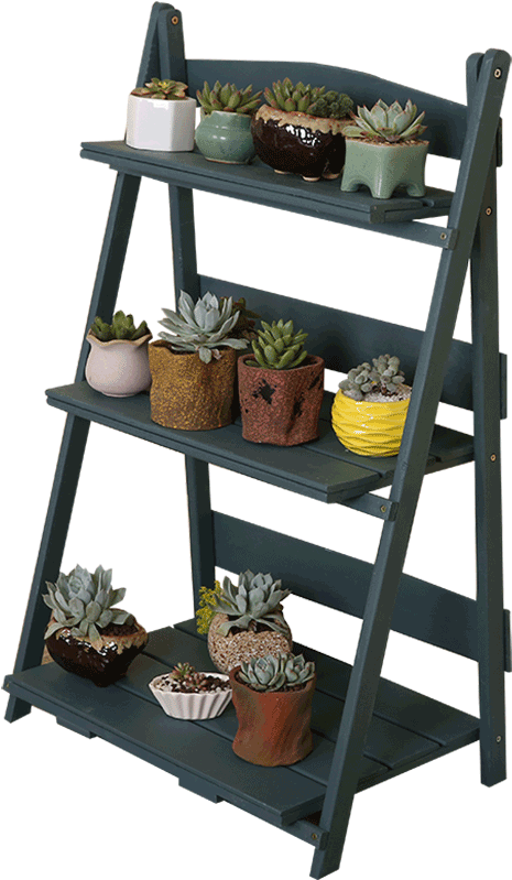 Solid Wood Flower Stand Living Room Nordic Fleshy Green - Flowerpot (800x800), Png Download