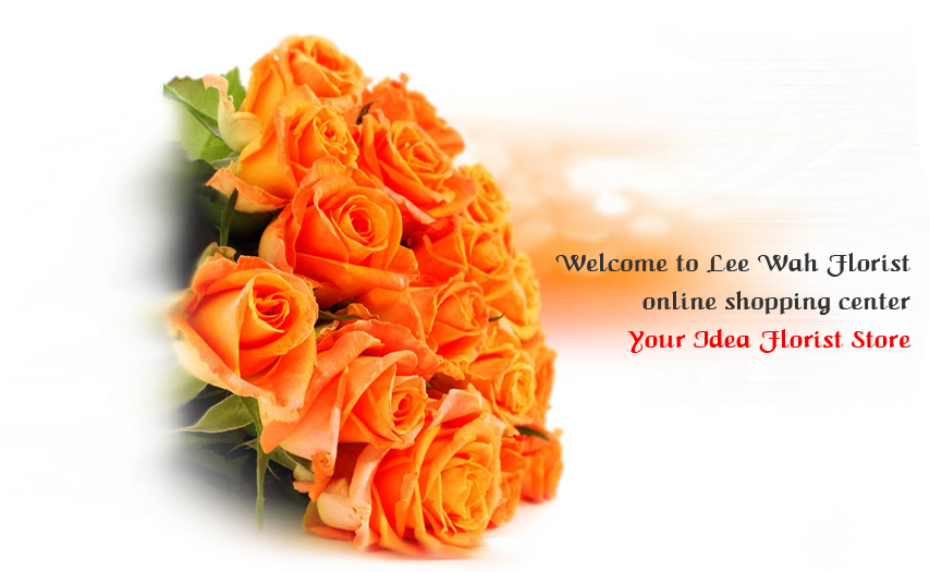 Regina Coeli Art & Hair (854x532), Png Download