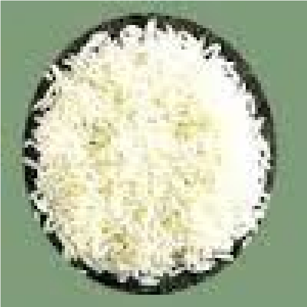 Laxmi Ponni Boiled Rice (600x864), Png Download