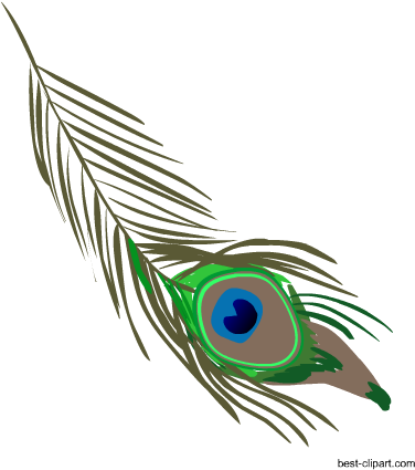 Peacock Feather, Free Png Clip Art Image - Illustration (450x450), Png Download