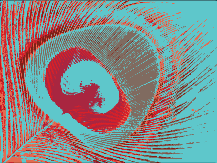 Peacock Feather - Graphic Design (842x841), Png Download