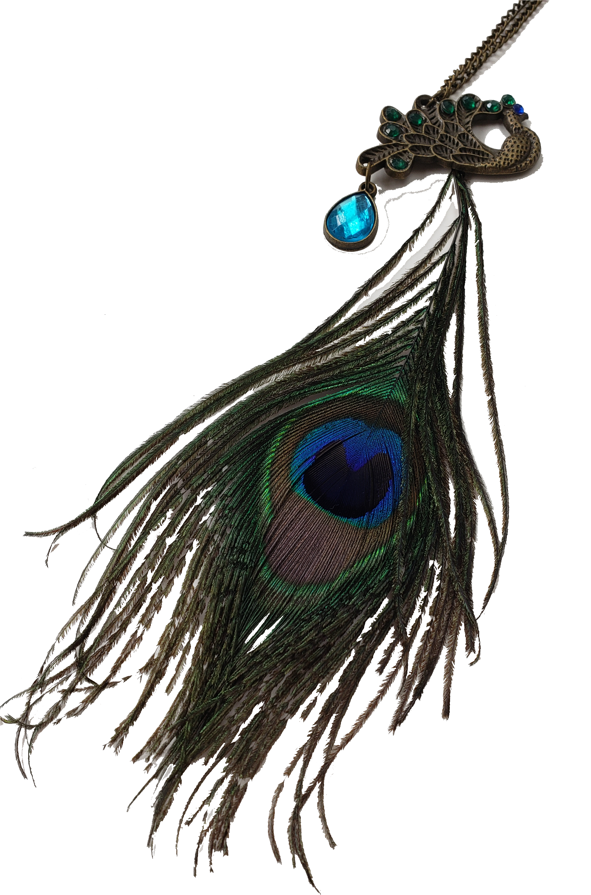 Exotica Peacock Feather Necklace - Necklace (2484x3692), Png Download