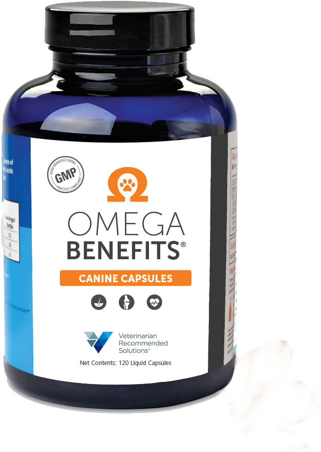 Canine Omega Benefits Capsules - Dietary Supplement (800x1033), Png Download