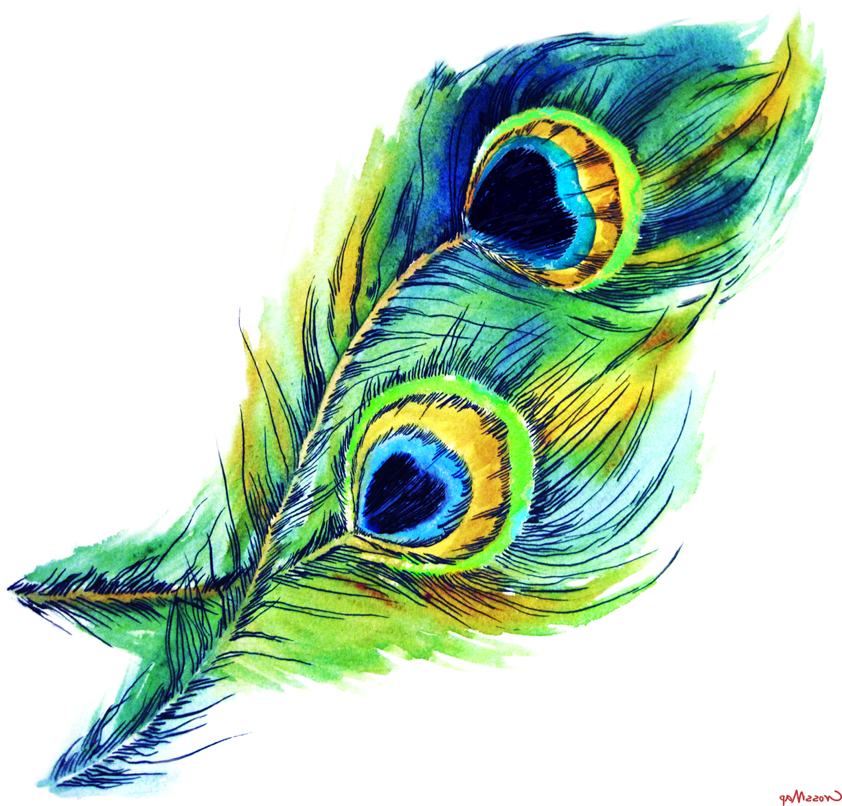 Peacock Feather - Krishna Preme [audio Cd] Rajkumar Roy (1353x1281), Png Download