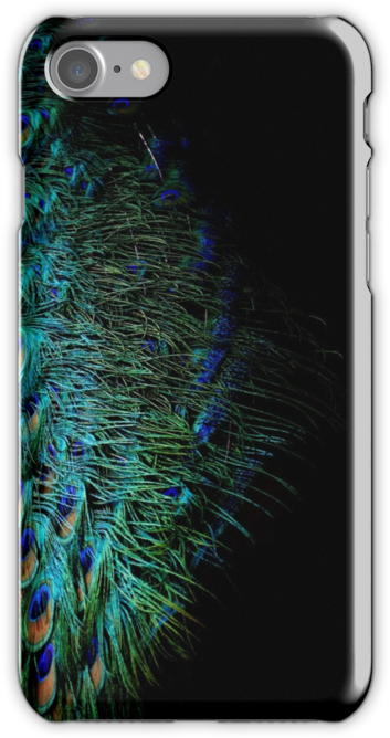 Peacock Feather - - Iphone (500x667), Png Download