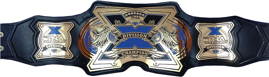 Engraved Wrestling Belt Plates - Cut Out Championship Belt (900x397), Png Download