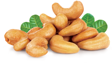 Cashew Nuts - Cashew Nuts Transparent Background (495x400), Png Download