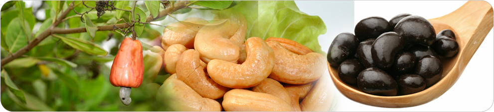 Raw Cashew Nuts Banner (991x226), Png Download
