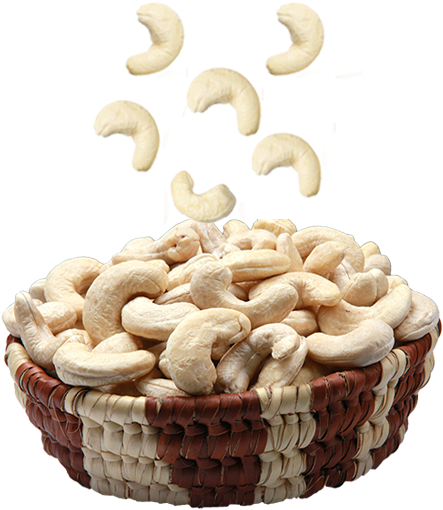 Cashew Nut Wholesale In Coimbatore - Cashew Nut Plain (455x511), Png Download