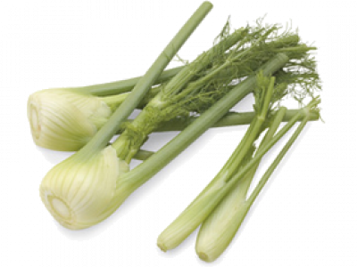 Fennel - Bulbs Vegetables (400x300), Png Download